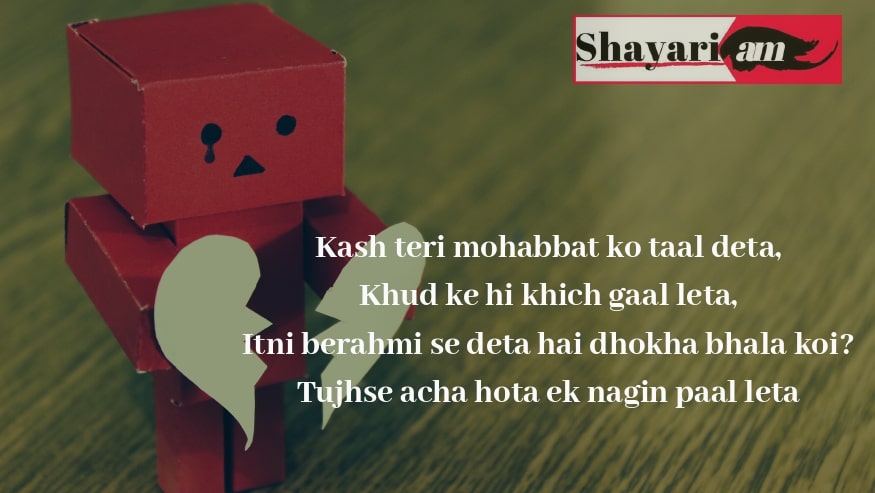 sad-dhoka-shayari-kash-teri-mohhabat